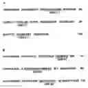 Fig. 01 - High potency recombinant antibodies and method for producing them