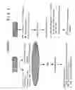 Fig. 06 - High potency recombinant antibodies and method for producing them