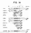 Fig. 02 - ErbB interface peptidomimetics and methods of use thereof