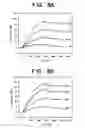 Fig. 05 - ErbB interface peptidomimetics and methods of use thereof