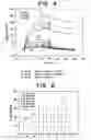 Fig. 06 - ErbB interface peptidomimetics and methods of use thereof