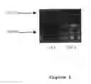 Fig. 02 - Monoclonal antibody for APP
