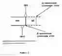 Fig. 06 - Monoclonal antibody for APP