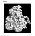 Fig. 15 - METHODS OF ANALYSIS AND DETECTING MOLECULAR DEFECTS IN TRANSCOBALAMIN I DEFICIENCY