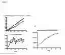 Fig. 06 - RSV-specific binding molecules and means for producing them