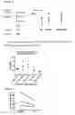 Fig. 15 - RSV-specific binding molecules and means for producing them