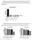 Fig. 16 - RSV-specific binding molecules and means for producing them
