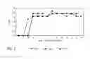 Fig. 03 - Equine antibodies against for passive immunization and treatment