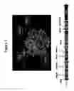 Fig. 02 - Recombinant Rhinovirus Vectors
