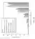 Fig. 26 - Pharmaceutical preparations and methods for inhibiting tumors
