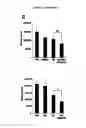 Fig. 21 - EGFR/NEDD9/TGF-BETA INTERACTOME AND METHODS OF USE THEREOF FOR THE IDENTIFICATION OF AGENTS HAVING EFFICACY IN THE TREATMENT OF HYPERPROLIFERATIVE DISORDERS