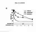 Fig. 23 - EGFR/NEDD9/TGF-BETA INTERACTOME AND METHODS OF USE THEREOF FOR THE IDENTIFICATION OF AGENTS HAVING EFFICACY IN THE TREATMENT OF HYPERPROLIFERATIVE DISORDERS