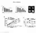 Fig. 28 - EGFR/NEDD9/TGF-BETA INTERACTOME AND METHODS OF USE THEREOF FOR THE IDENTIFICATION OF AGENTS HAVING EFFICACY IN THE TREATMENT OF HYPERPROLIFERATIVE DISORDERS