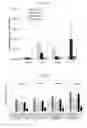 Fig. 05 - Liposome for liver-specific delivery and release of therapeutic nucleic acids or drugs