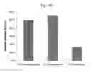 Fig. 07 - Liposome for liver-specific delivery and release of therapeutic nucleic acids or drugs