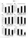 Fig. 03 - Tissue-Engineered Endothelial and Epithelial Implants Differentially and Synergistically Regulate Tissue Repair