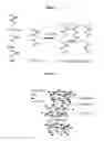Fig. 02 - LAYER SILICATE NANOCOMPOSITES OF POLYMER HYDROGELS AND THEIR USE IN TISSUE EXPANDERS