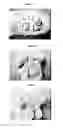 Fig. 13 - LAYER SILICATE NANOCOMPOSITES OF POLYMER HYDROGELS AND THEIR USE IN TISSUE EXPANDERS