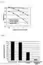 Fig. 05 - PHARMACEUTICAL COMPOSITION FOR THE TREATMENT AND PREVENTION OF DISEASES INVOLVING IMPOTENCE