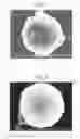 Fig. 02 - Powder cosmetic composition