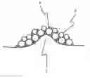 Fig. 01 - COMPOSITION FOR ORAL CAVITY AND SKIN