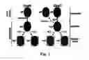 Fig. 02 - Modulating latency and reactivation of 