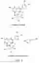 Fig. 04 - Jucara and acai fruit-based dietary supplements