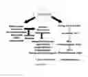 Fig. 04 - Flaxseed lignan complex, methods of using and compositions thereof