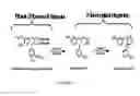 Fig. 05 - Flaxseed lignan complex, methods of using and compositions thereof