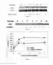 Fig. 16 - Flaxseed lignan complex, methods of using and compositions thereof