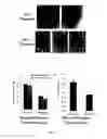 Fig. 20 - Flaxseed lignan complex, methods of using and compositions thereof