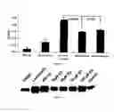 Fig. 22 - Flaxseed lignan complex, methods of using and compositions thereof