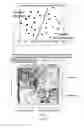 Fig. 23 - Flaxseed lignan complex, methods of using and compositions thereof