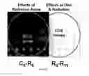 Fig. 24 - Flaxseed lignan complex, methods of using and compositions thereof