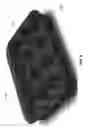 Fig. 09 - MULTI-EDGE BAKING PAN