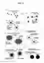 Fig. 07 - METHOD OF MANUFACTURING POLYMER COATED FERROMAGNETIC PARTICLES AND POLYMER COATED FERROMAGNETIC PARTICLES