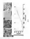 Fig. 03 - Method of forming a film of graphite oxide single layers, and applications of same