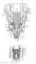 Fig. 01 - FUEL CELL SOCKET AND FUEL CELL USING SAME