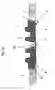 Fig. 04 - GAS DIFFUSION UNIT FOR A FUEL CELL