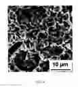 Fig. 09 - Method for preparation of the solid oxide fuel cell single cell