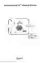 Fig. 02 - Assay for detection of transient intracellular CA