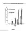 Fig. 07 - Assay for detection of transient intracellular CA