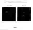 Fig. 08 - Assay for detection of transient intracellular CA