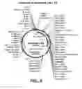 Fig. 06 - HUMAN ANTIBODIES THAT HAVE MN BINDING AND CELL ADHESION-NEUTRALIZING ACTIVITY