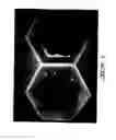 Fig. 07 - Conversion of knot rejects from chemical pulping