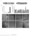 Fig. 02 - Enhanced PiggyBac transposon and methods for transposon mutagenesis