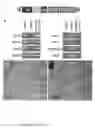 Fig. 08 - Enhanced PiggyBac transposon and methods for transposon mutagenesis