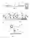Fig. 02 - HIGH SENSITIVITY NANOTECHNOLOGY-BASED MULTIPLEXED BIOASSAY METHOD AND DEVICE