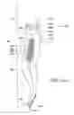 Fig. 16 - Article of clothing with wicking portion