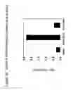 Fig. 06 - Detection Of Rho Proteins